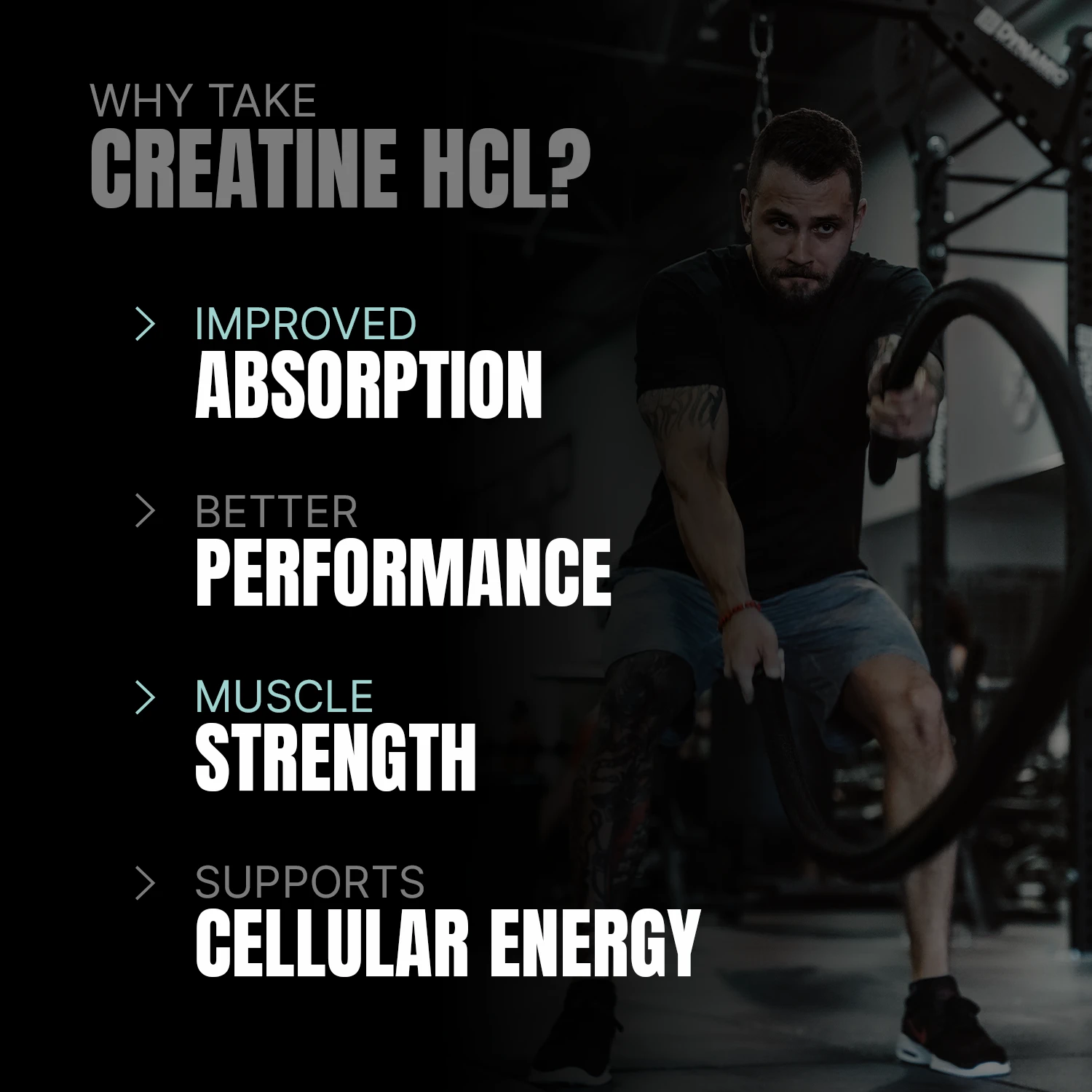 prosupps creatine 4